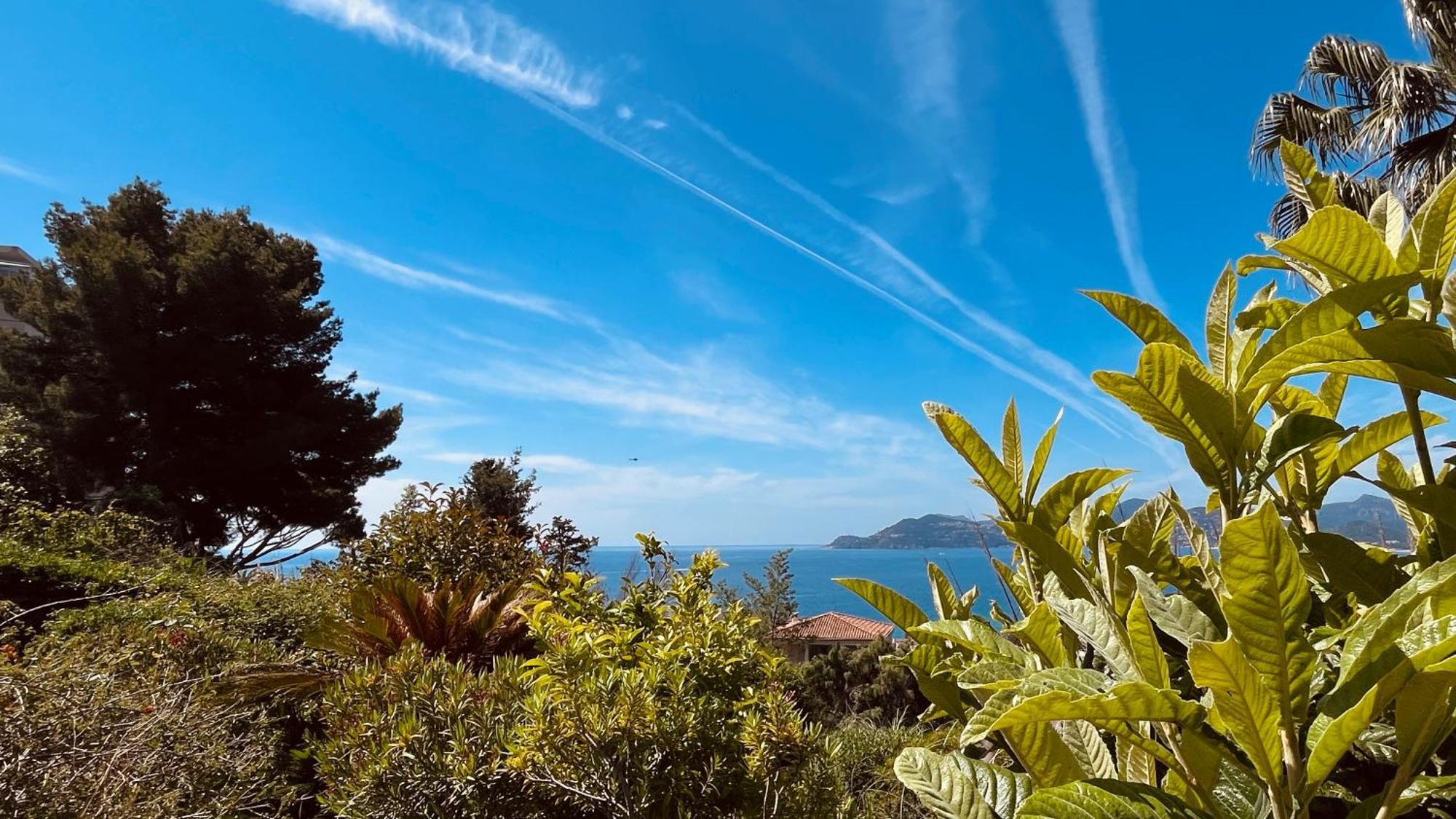 Piscine-parc-tennis Cannes